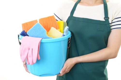 Professional sofa cleaning in a Docklands living room