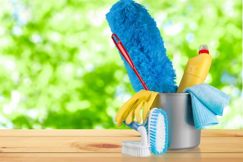 Deep oven cleaning tools and trays in Docklands