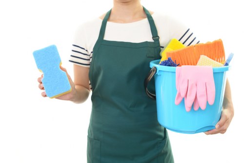 Professional carpet cleaner in Docklands removing dirt from a living room carpet