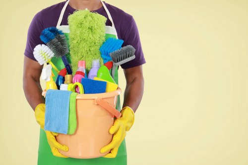 Cleaner inspecting equipment before starting work