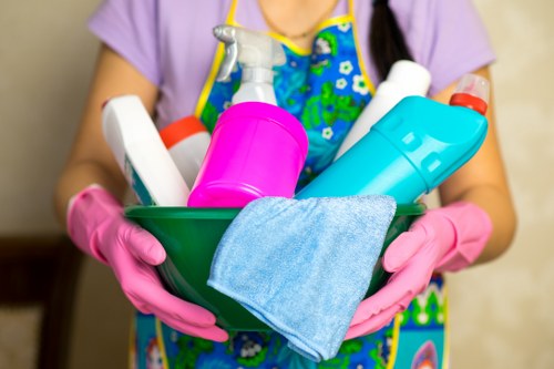 Professional home cleaners in Docklands cleaning a modern apartment