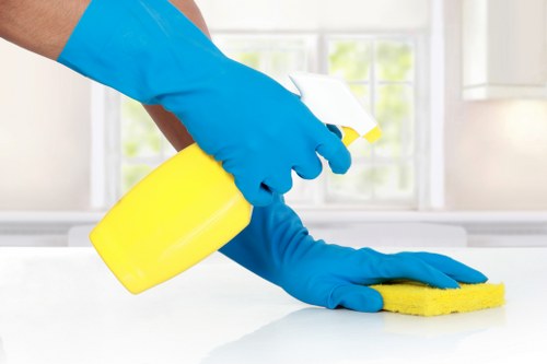 Professional carpet cleaning in a Docklands apartment living room