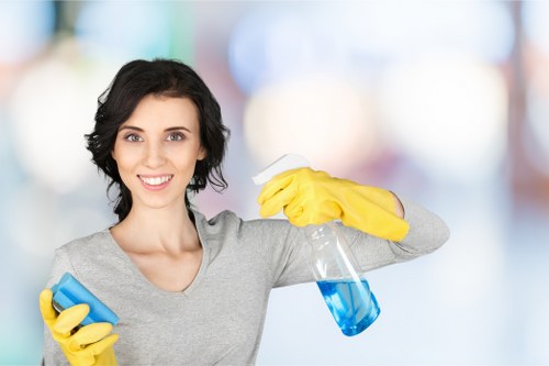 Detailed house cleaning service in Docklands focusing on bathrooms
