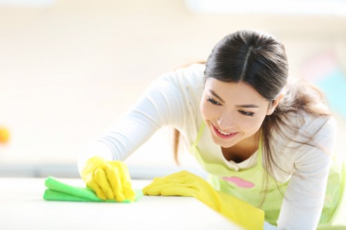 Reliable cleaner in Docklands providing deep cleaning support