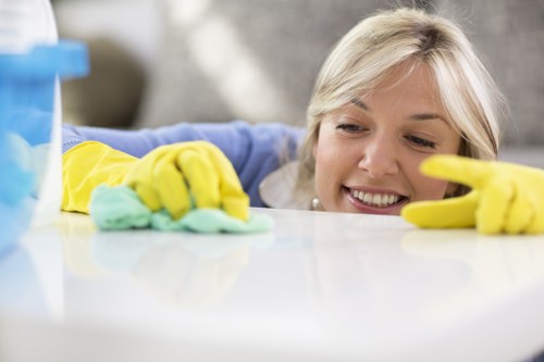 On-site curtain cleaning for a Docklands home or office