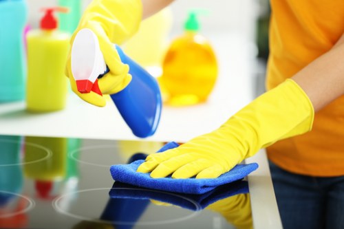 Apartment cleaning in Docklands with balcony and window care
