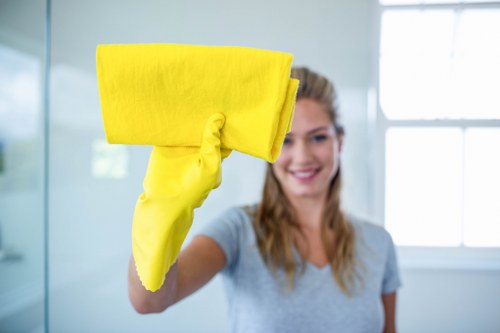Commercial oven cleaning service in Docklands