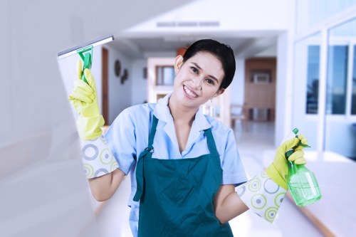 Stain and odour removal carpet cleaning service in Docklands