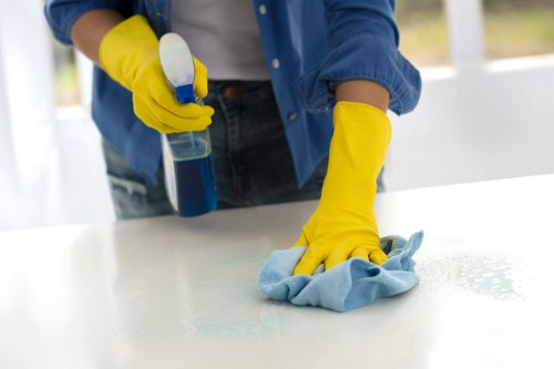 Professional Docklands cleaner delivering end-of-lease cleaning