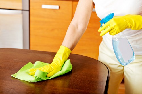 Mattress cleaning equipment used in a Docklands apartment