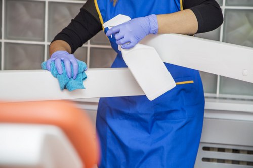 Professional cleaner in Docklands sanitising a bright bathroom